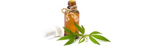 CBD Hemp Oil